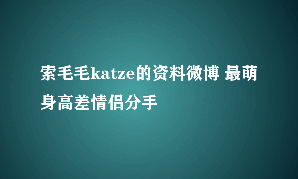 索毛毛katze的资料微博 最萌身高差情侣分手