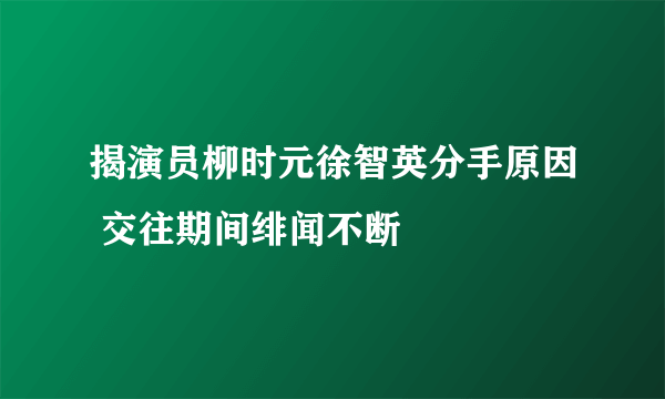 揭演员柳时元徐智英分手原因 交往期间绯闻不断