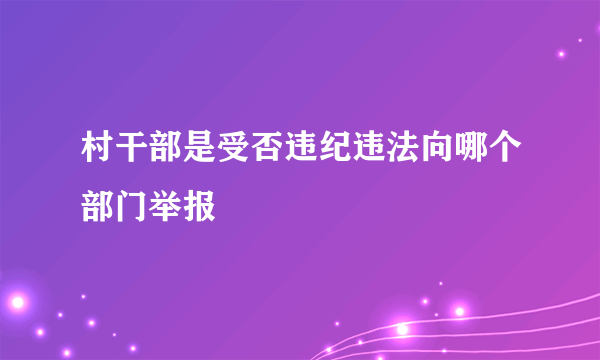 村干部是受否违纪违法向哪个部门举报