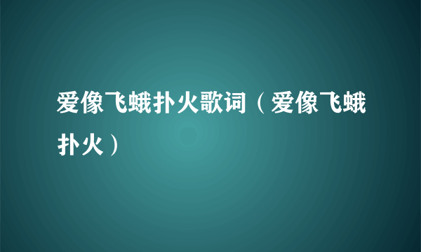 爱像飞蛾扑火歌词（爱像飞蛾扑火）