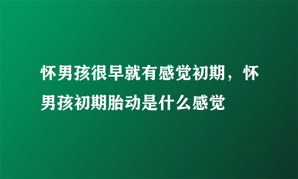 怀男孩很早就有感觉初期，怀男孩初期胎动是什么感觉