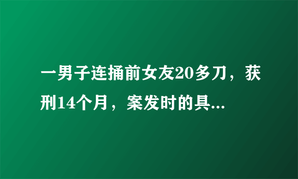 一男子连捅前女友20多刀，获刑14个月，案发时的具体细节是什么？