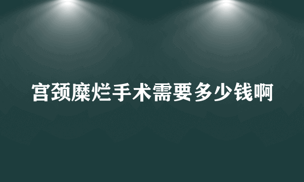 宫颈糜烂手术需要多少钱啊