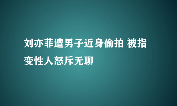 刘亦菲遭男子近身偷拍 被指变性人怒斥无聊