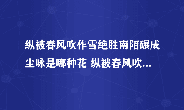 纵被春风吹作雪绝胜南陌碾成尘咏是哪种花 纵被春风吹作雪绝胜南陌碾成尘咏什么意思