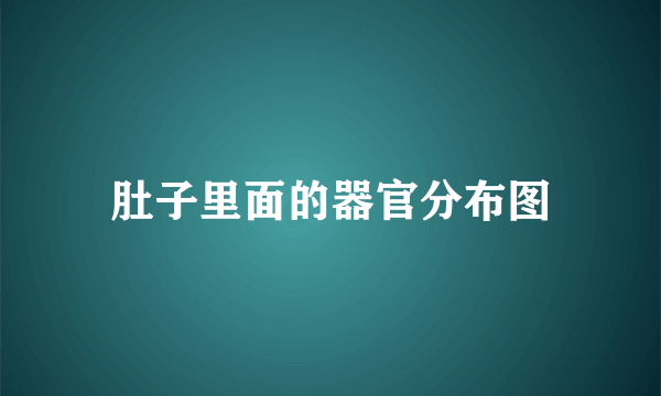 肚子里面的器官分布图