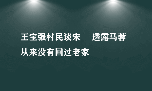 王宝强村民谈宋喆 透露马蓉从来没有回过老家