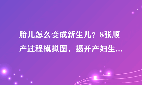 胎儿怎么变成新生儿？8张顺产过程模拟图，揭开产妇生娃全过程