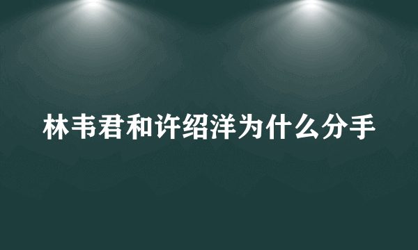 林韦君和许绍洋为什么分手