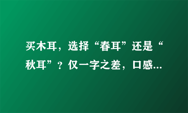 买木耳，选择“春耳”还是“秋耳”？仅一字之差，口感差别却挺大