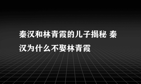 秦汉和林青霞的儿子揭秘 秦汉为什么不娶林青霞