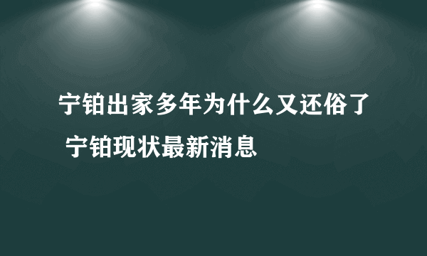 宁铂出家多年为什么又还俗了 宁铂现状最新消息