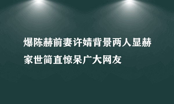 爆陈赫前妻许婧背景两人显赫家世简直惊呆广大网友