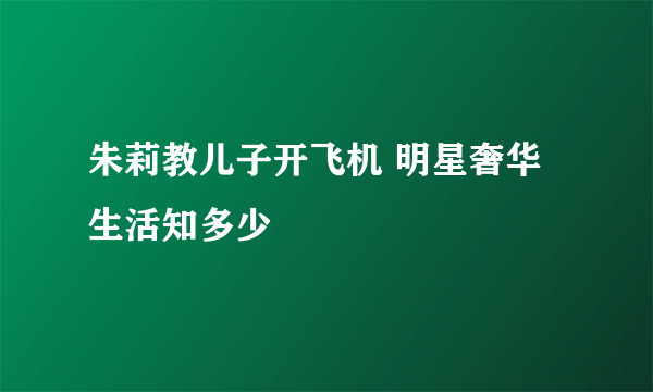 朱莉教儿子开飞机 明星奢华生活知多少