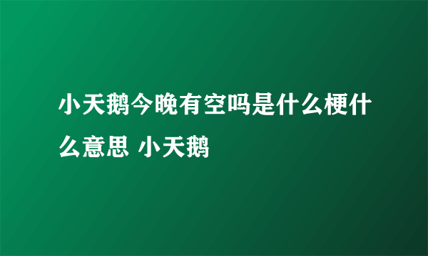 小天鹅今晚有空吗是什么梗什么意思 小天鹅