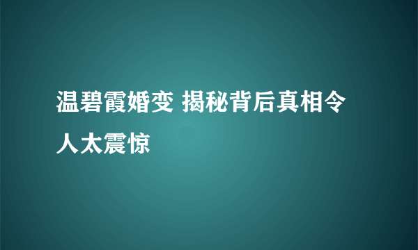 温碧霞婚变 揭秘背后真相令人太震惊