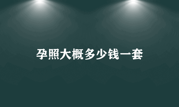 孕照大概多少钱一套