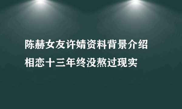 陈赫女友许婧资料背景介绍  相恋十三年终没熬过现实