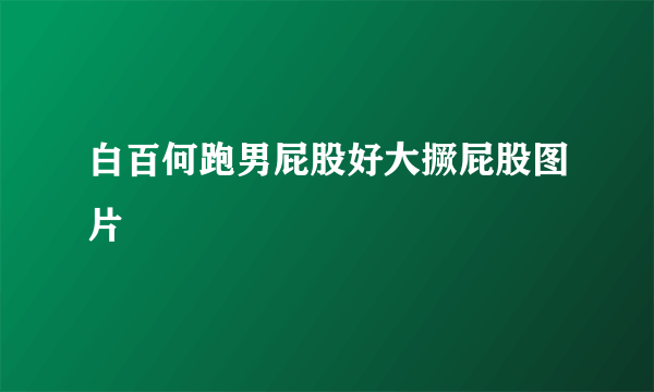 白百何跑男屁股好大撅屁股图片