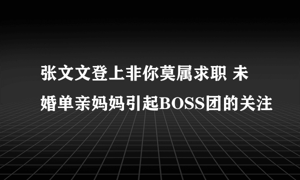 张文文登上非你莫属求职 未婚单亲妈妈引起BOSS团的关注