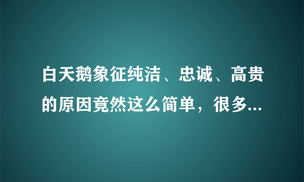 白天鹅象征纯洁、忠诚、高贵的原因竟然这么简单，很多人都不知道