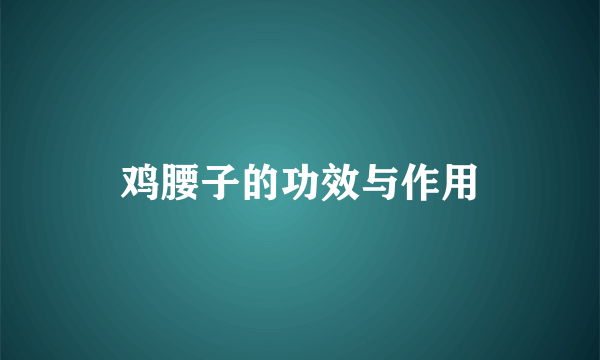 鸡腰子的功效与作用