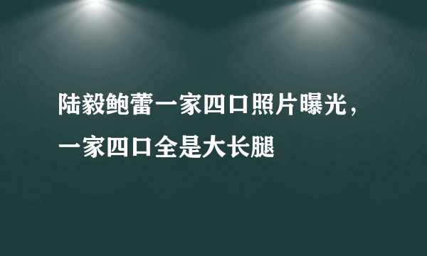 陆毅鲍蕾一家四口照片曝光，一家四口全是大长腿 