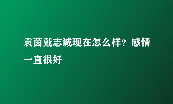 袁茵戴志诚现在怎么样？感情一直很好