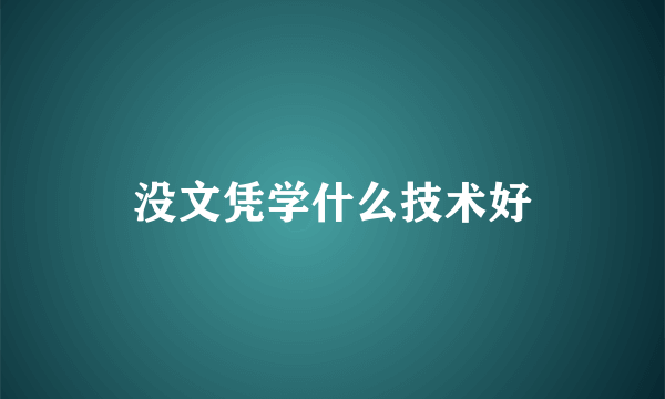 没文凭学什么技术好