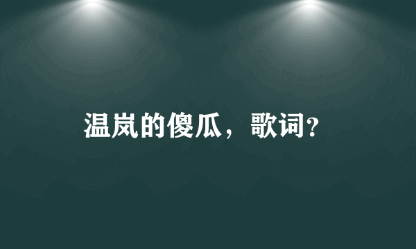 温岚的傻瓜，歌词？