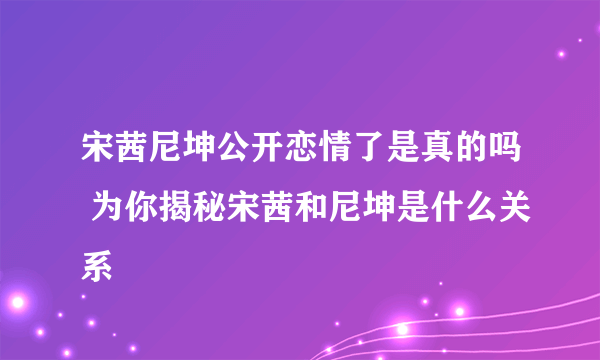 宋茜尼坤公开恋情了是真的吗 为你揭秘宋茜和尼坤是什么关系