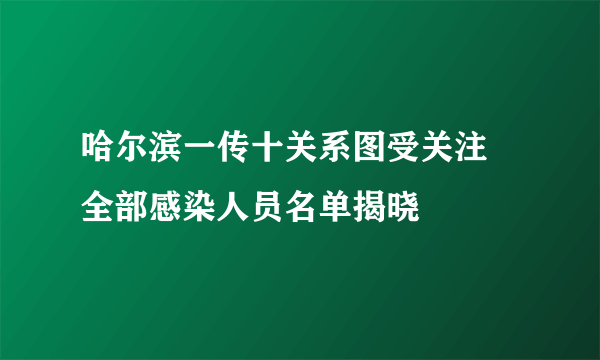 哈尔滨一传十关系图受关注 全部感染人员名单揭晓