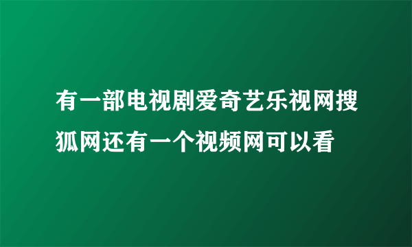 有一部电视剧爱奇艺乐视网搜狐网还有一个视频网可以看