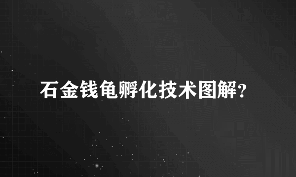 石金钱龟孵化技术图解？