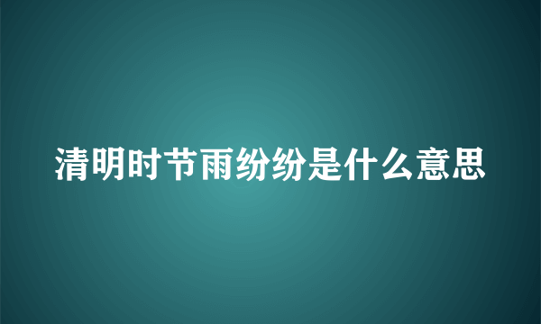 清明时节雨纷纷是什么意思