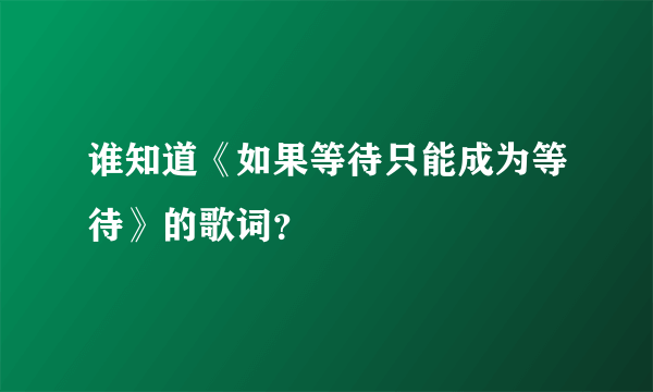 谁知道《如果等待只能成为等待》的歌词？