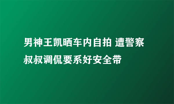 男神王凯晒车内自拍 遭警察叔叔调侃要系好安全带