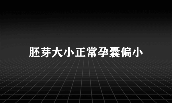 胚芽大小正常孕囊偏小