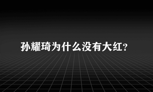 孙耀琦为什么没有大红？