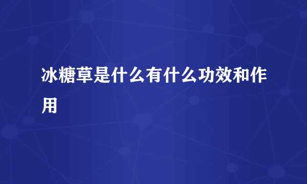 冰糖草是什么有什么功效和作用