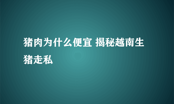 猪肉为什么便宜 揭秘越南生猪走私