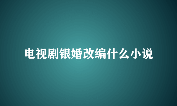 电视剧银婚改编什么小说