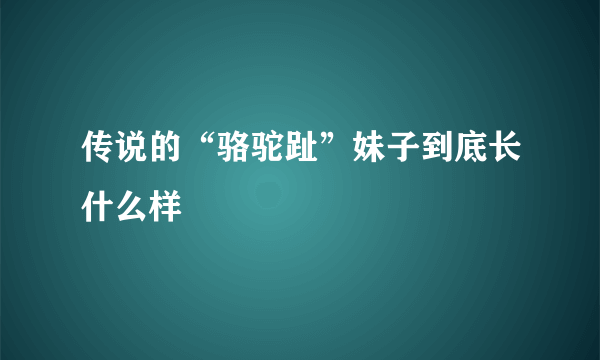 传说的“骆驼趾”妹子到底长什么样