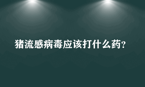 猪流感病毒应该打什么药？