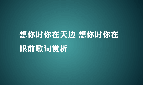 想你时你在天边 想你时你在眼前歌词赏析