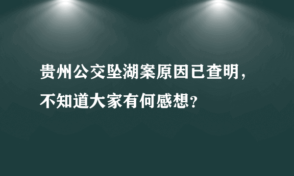 贵州公交坠湖案原因已查明，不知道大家有何感想？