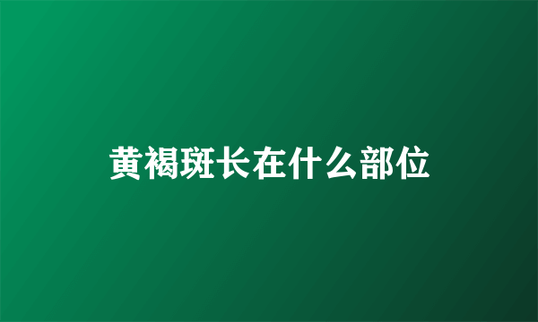 黄褐斑长在什么部位