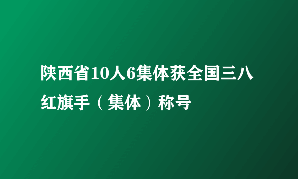 陕西省10人6集体获全国三八红旗手（集体）称号