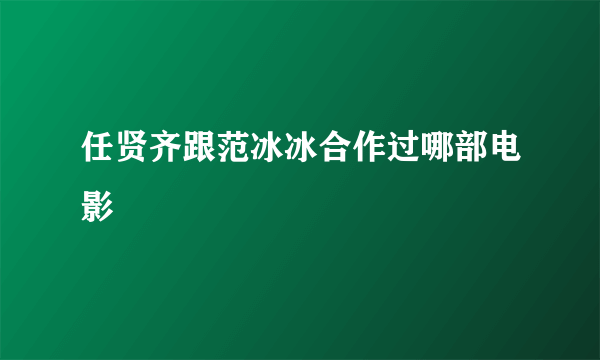 任贤齐跟范冰冰合作过哪部电影