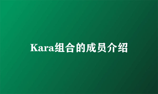 Kara组合的成员介绍